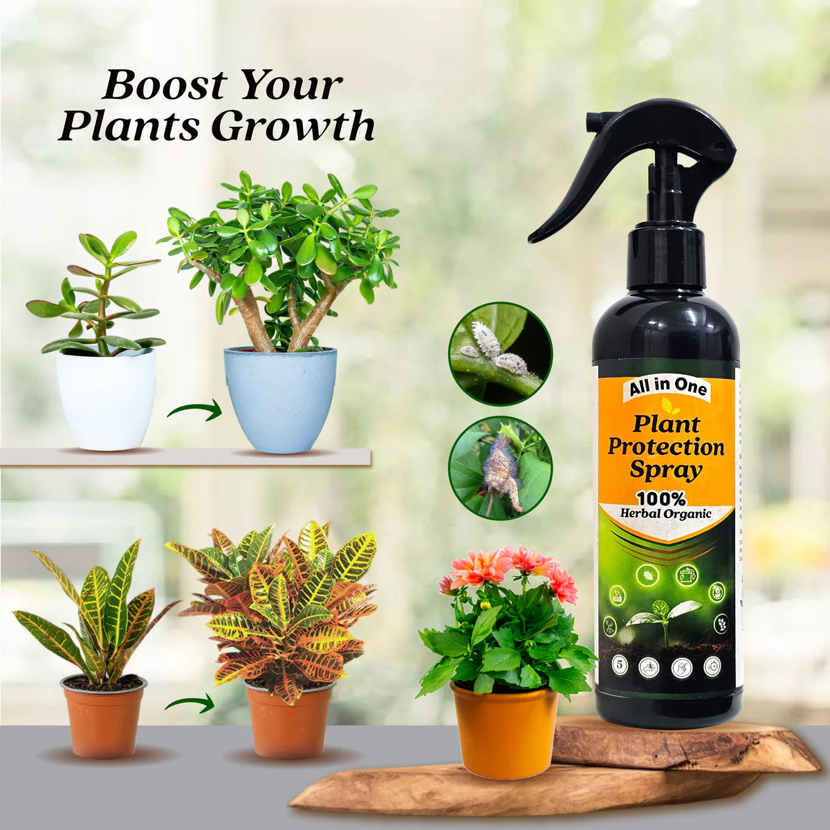PlantShield™ - All in One Plant Protection Spray 🌿🛡️